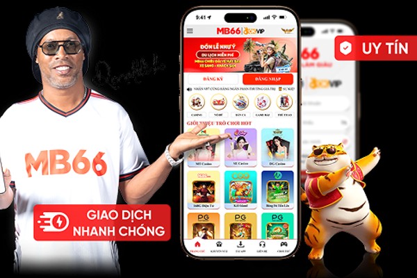 Hướng dẫn toàn diện
